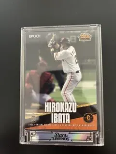 61シリ　スタレジェ2025 井端　レギュラーカード