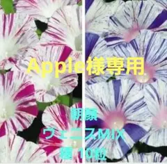 Apple様 リクエスト 3点 まとめ商品