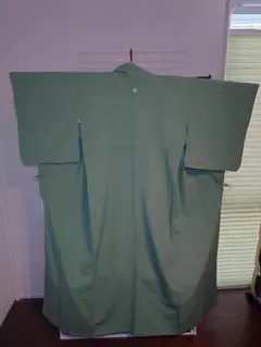 訳あり美品　洗える着物　色無地　胴抜き　家紋入り