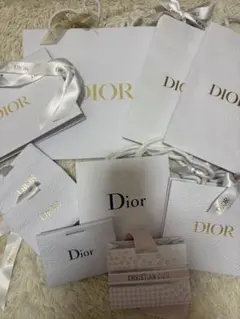 DIOR ショップ袋　バラ売り可