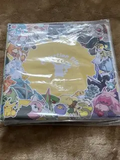 週刊少年ジャンプ　ポケモン　メガシンカ　マルチキャリングケース　当選品 週刊少年ジャンプ ポケモン メガシンカ マルチキャリングケース 当選品
