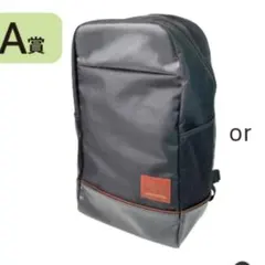 JRA ウェルカムチャンス バックパック リュック ブラウン