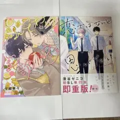 いいわけなんて全部ウソ　恋ではないと思いたい　　　　　　　　　 2巻セット