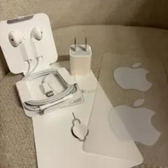 有線イヤホン(Earpods)とその他付属品