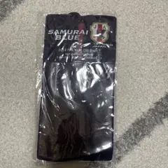 Item thumbnail for item 2c786fed-b8f8-44c8-bdf9-c8bf64bf1de2