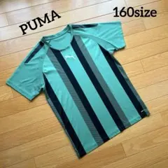 【PUMA】TEAMLIGAストライプゲームシャツ160sizeのサムネイル