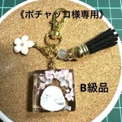 5949☆ ポチャッコ様専用