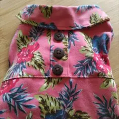 Item thumbnail for item 043cfd5a-9a09-4028-af80-c35297dd3063