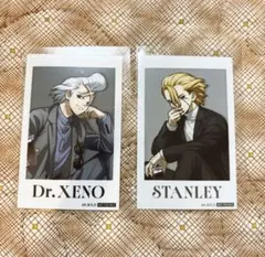 【コメント要】Dr.STONE 花火 マルイ ゼノ スタンリー ドクスト Dr.STONE ドクスト マルイ 花火 ポストカード ゼノ スタンリー - メルカリ