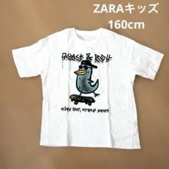 ZARA ザラ　キッズ 160 Tシャツ コットン