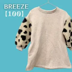 Item thumbnail for item 35c25696-6e20-4920-a59f-8341b3f8b8c5