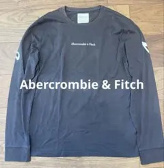 Abercrombie & Fitch アバクロ　Tシャツ L