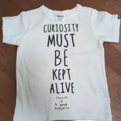 Item thumbnail for item 57f6949f-6c12-4ea1-9063-6546bea2b5de