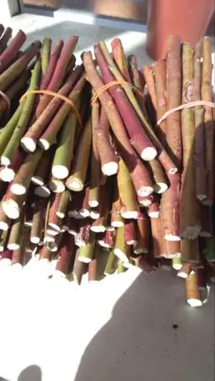 ♦❬ひまわり様専用❭♦❬他の方の購入NG❭♦