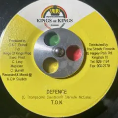 3483 レゲエ レコード 7インチ T.O.K.