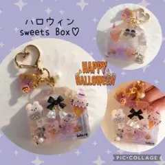 シェイカー　シャカシャカ　レジンキーホルダー　ハロウィン　sweets Box