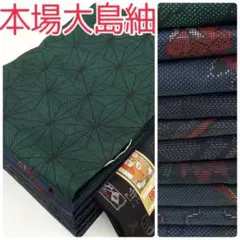 おかりん 様専用【TAMA屋】全て正絹 本場大島紬 まとめ10点TM 2531