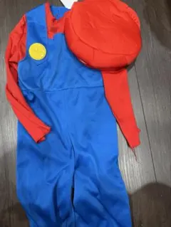 訳あり　コストコ　マリオ