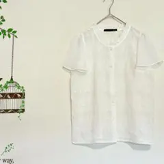 Heather /フリル 刺繍 半袖 ブラウス シアー 透け感 白 F