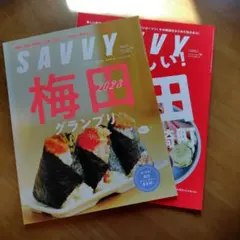 SAVVY　２冊セット