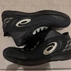 Item thumbnail for item ad336908-9859-4071-bca6-74c5851a9313