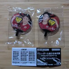 バレーボール男子日本代表 アクリルうちわ2点セット