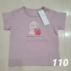 Item thumbnail for item e22f2073-04df-4b5b-86a8-9d9b93c71be2