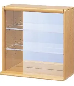 Nakabayashi ナカバヤシ コレクションケース