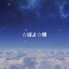 ☆ぽよ☆様専用ページ