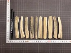 2026-386 鹿の角10本☆鹿の角☆シカの角☆蝦夷鹿☆本州鹿☆犬のおもちゃのサムネイル