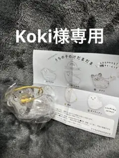 専用です！【丸たれみみ】うちの子のけだまだま×3