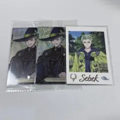 ツイステ ツイステ展 セベク ランダムカード ウエハース7 ブルームバースデー