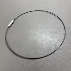 Item thumbnail for item 611cbeed-165d-415d-bfd9-a5ecca6b5ed1