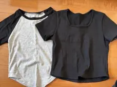 半袖Tシャツ 2枚セット