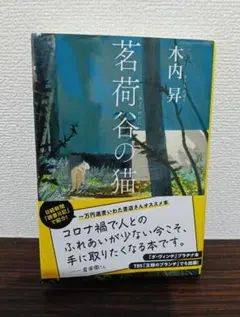 Item thumbnail for item 6f026000-38cf-4738-afa3-376486305995