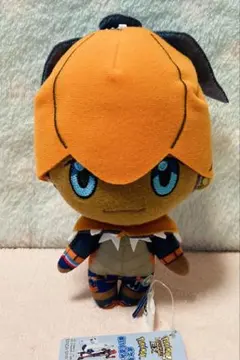 ポケモンマスターズEX ぬいぐるみ【キバナ】