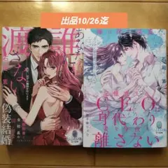 TL小説 あなたを誰にも渡さない 海に沈む深愛 石田累 オパール文庫