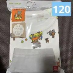 ユニクロ　パジャマ　こぐまちゃん　120