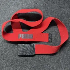 フェラーリ PUMA コラボベルト限定品