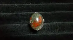 Item thumbnail for item 66013e8e-1942-4361-a3ee-42ccb976359f