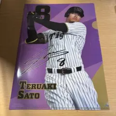 Item thumbnail for item 90325930-9520-4fde-84b9-79c729a42368