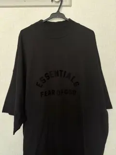 ⚫︎新品⚫︎SUNDINISTA EXPERIENCE / FOR FROZEN - メルカリ