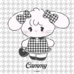 専用