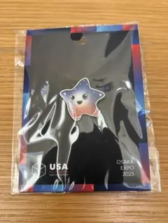 2025年最新】アメリカ館ピンバッジの人気アイテム - メルカリ