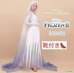 【正規品】シークレットハニー　Dハロ アナと雪の女王2 エルサ 精霊ドレス &靴
