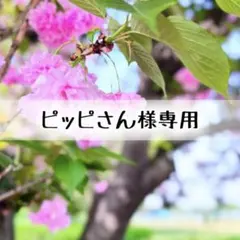 ピッピさん様 リクエスト 2点 まとめ商品