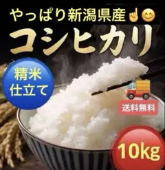 【新潟県産】コシヒカリ10キロ　令和7年産　精米時期令和8年6月下旬　送料無料のサムネイル