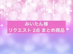 みいたん様 リクエスト 2点 まとめ商品