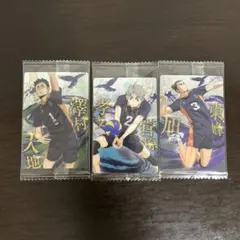 ハイキューウエハース　ゴミ捨て場の決戦　 澤村大地　菅原孝支　東峰旭　烏野3年