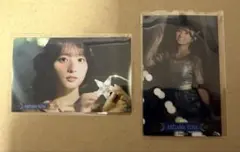 AKB48 秋山由奈 2026年7月度 ランダムハーフサイズ生写真2種2枚